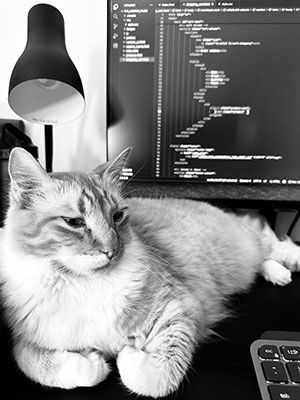 Web Development Illustration